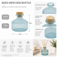 Bouteille diffuseur à roseaux en verre moderne de 100 ml pour huile parfumée d'ambiance, usage décoratif, design personnalisé, marque privée