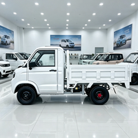Camionnette électrique économique avec lecteur MP5, conduite à gauche, véhicule de service municipal pour le Qatar