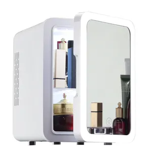 4L Skincare Fridge For Cosmetic Portable Ac 100V-220V Dc 12V Mini Cosmetic Refrigerator With mirror door