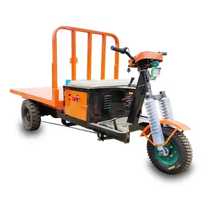 Sepeda Roda Tiga Listrik 48V 1000W/Bongkar Pasang Becak Listrik/Truk Pipih, Baterai Air Tarik Sepeda Roda Tiga Keramik