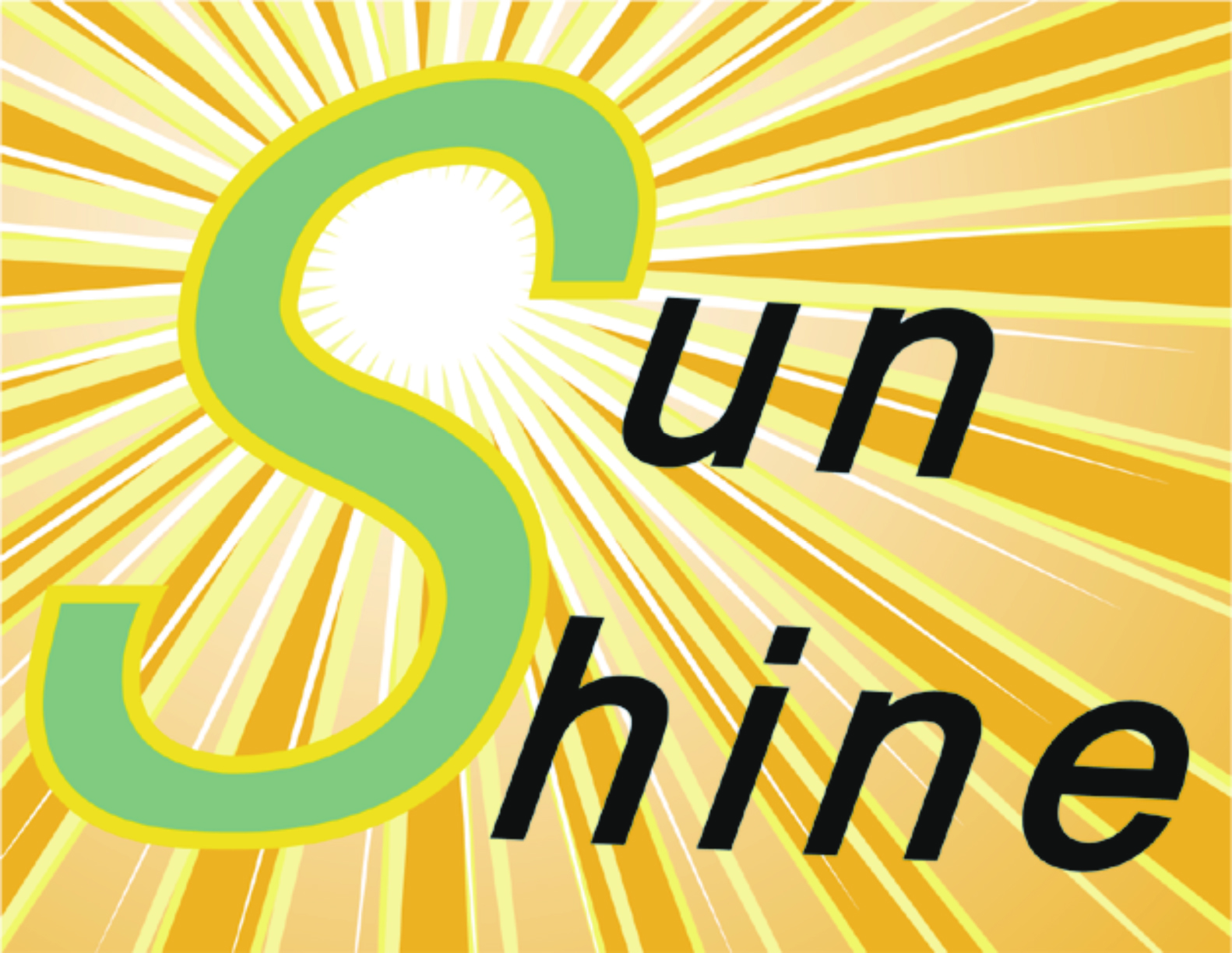 Zhongshan Sunshine Hardware Co., Ltd. logo