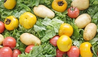 Kantelbare afvoer groente fruit vlees vis ultrasonische ozonwasser kool bubbelwasser centrifuge ontwateringsmachine