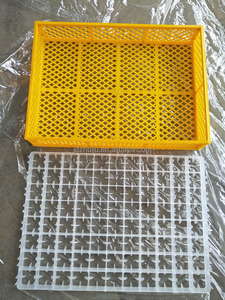 Incubadora de Aves de Corral de Gran Capacidad HJ-IH6336, con Capacidad para 6000 Huevos de Gallina - Product Image 5
