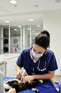 Mesin <span class=keywords><strong>Ultrasound</strong></span> Genggam Nirkabel 3 in 1 Warna Hitam-Putih untuk Klinik Hewan - Product Image 3