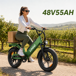 D55 City <b>Electric</b> Bike 20*4.0 FAT TIRE Aluminum Alloy Frame 48V 55AH 750W Mountain E BIKE for adult Long Range Transportation - Product Image 1