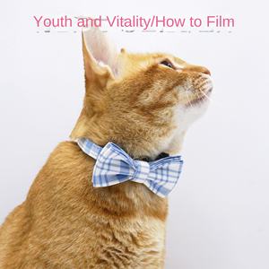 Correa de Tracción Acolchada con Cinta de Poliéster a Cuadros y Anillo Anti-Rotura Grabable para Perros - Product Image 3