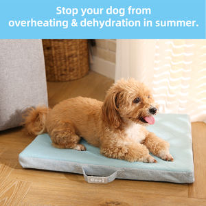 Neuankömmling Haustier Cooles Bett Sommer kühlung Touch Stoff <span class=keywords><strong>Cool</strong></span> Memory Sponge Travel Hunde bett Kissen Mit Griff - Product Image 4