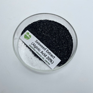 مستخلصات نباتية مسحوق رقائق أسكوفيلوم نودوسوم قابل للذوبان في الماء استخراج الأعشاب البحرية الأسمدة العضوية حمض الألجنيك - Product Image 6