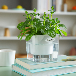 Sistema de riego automático moderno, maceta, resina de plástico duradera, función de autorriego para colgar <span class=keywords><strong>flores</strong></span>/suelo de plantas verdes - Product Image 1