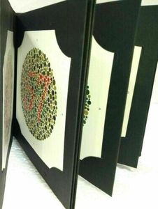 หนังสือทดสอบสายตาอิชิฮาระคุณภาพสูง 38 แผ่น สำหรับตรวจสี จากอินเดีย จัดส่งฟรีรวดเร็ว ผลิตโดย SS - Product Image 5