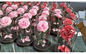 En gros Beauté Bête Enchanté Bella <span class=keywords><strong>Rose</strong></span> préservé <span class=keywords><strong>rose</strong></span> dôme préservé <span class=keywords><strong>rose</strong></span> en verre - Product Image 6