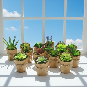 Mini <span class=keywords><strong>cactus</strong></span> artificiel <span class=keywords><strong>pas</strong></span> <span class=keywords><strong>cher</strong></span> dans un pot en papier, fait main, réaliste, durable, décoration intérieure - Product Image 6
