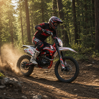 Moto tout-terrain 4 temps KT2 PR300 300cc, moto de course, fourche de 230 mm de course, garde au sol de 310 mm