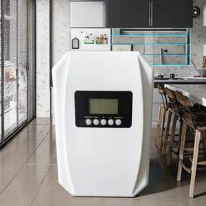 Offre Spéciale usage domestique 500 mg/h générateur d'ozone portable purificateur d'eau à ozone et purificateur d'air - Product Image 1