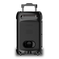 Enceinte portable 40W RMS Karaoké avec 2 micros sans fil, lumière LED, USB, TF, FM, télécommande, rechargeable 3000mAh