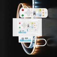 Vonew Star DC5-24V 2.4G télécommande APP SPI RGB Pixel LED contrôleur