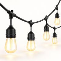 Guirlandes lumineuses LED S14 étanches 10m 15m, 10/15 ampoules 1W 2W, guirlandes à filament pour jardin, patio, mariage, fête