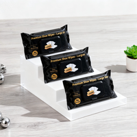 Lingettes nettoyantes pour chaussures pratiques pour les voyages - Biodégradables et nettoyage instantané