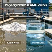 Produit phare : Agent chimique auxiliaire en poudre APAM (Polyacrylamide) de fabrication chinoise pour l'impression et la teinture