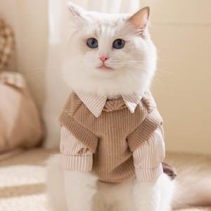 Ropa <span class=keywords><strong>de</strong></span> Invierno para Gatos, Estilo Academia, Resistente al Viento, con Lindo Estampado <span class=keywords><strong>de</strong></span> Oso, para Parejas, MOQ Bajo, Personalizable - Product Image 2