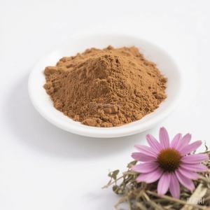 عالية النقاء إشنسا استخراج جذور أنغستفوليا مسحوق بوليفينول الأعشاب قسط إشيناسيا بوربوريا استخراج - Product Image 4
