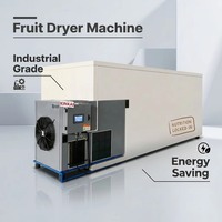 Hoge capaciteit warmtepomp fruitdroogmachine voor fruitverwerkingslijn