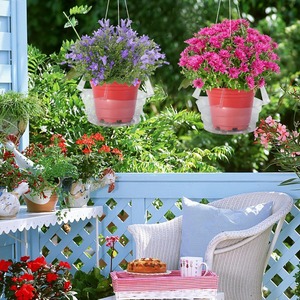 Plateau de drainage transparent rond en plastique pour plantes d'intérieur, 6, 8, 10, 12 pouces, avec trou de drainage - Product Image 2