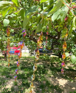 Pratik kuş güvercin sivri öcü yansıtıcı akrilik Spiral şekli kuş kovucu sopa ağacı asmak için kuşlar uzakta korkuyor - Product Image 3