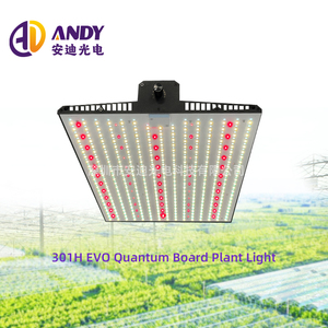 100W 200W 300W 2 x2ft 3 x3ft <span class=keywords><strong>SAMSUNG</strong></span> LM301H EVO Full Spectrum Indoor Plant <span class=keywords><strong>LED</strong></span> Grow Light pannelli - Product Image 2