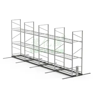 Manufacturer of Hydroponic Multiple Tiers Rack stand for Growing Plant Vegetables and Fruits