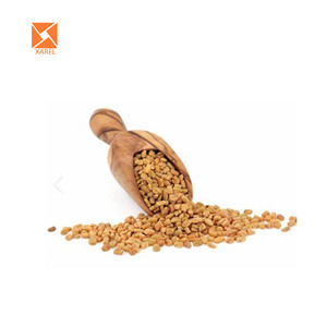 Natural Supplement Fenugreek Seed Trigonella <strong>Foenumgraecum</strong> Extract 10:1 Powder - Product Image 2