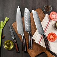 Ensemble de 10 couteaux de chef faits à la main en acier inoxydable à motif Damas, manche en bois coloré, pour la cuisine
