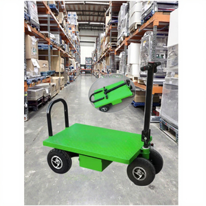 Carrito eléctrico con batería de 800W, carros planos, carga máxima, 300kg, 1000kg, carro de trabajo plano pequeño de ladrillo de carga - Product Image 2
