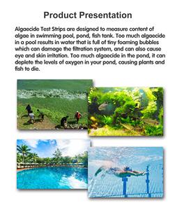 Bandelettes <span class=keywords><strong>de</strong></span> test rapides du sulfate <span class=keywords><strong>de</strong></span> <span class=keywords><strong>cuivre</strong></span>, certifiées CE, kit portable <span class=keywords><strong>de</strong></span> test <span class=keywords><strong>de</strong></span> la qualité <span class=keywords><strong>de</strong></span> l'eau <span class=keywords><strong>pour</strong></span> aquarium et <span class=keywords><strong>piscine</strong></span> - Product Image 5