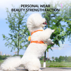 Harnais pour chien S'JOY en polyester durable, respirant, réglable, de luxe, en forme de fruit de dessin animé, avec laisse, pour la marche en extérieur, 2-14 kg - Product Image 5