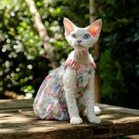 Jupe décontractée ULT Floral Pumpkin pour chat sans poils, en polyester, fraîche et mignonne, style princesse, pour l'été, Chine