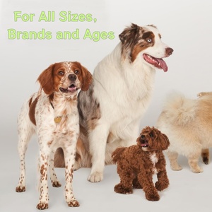 Integratore per la Salute delle Articolazioni del Cane in Polvere con MSM, Supporto Sicuro ed Efficace per Anche e Articolazioni, Prodotto per la Cura degli Animali Domestici - Product Image 3