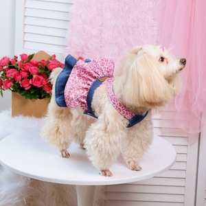 Robe pour chien en jean à imprimé léopard mignon, rose et bleu, tenue d'été pour animaux de compagnie, style princesse - Product Image 2