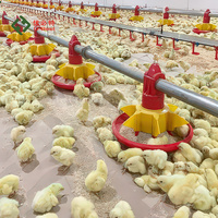 Équipement d'élevage avicole entièrement automatique pour poulets de basse-cour, poulailler en plastique pour poulets de chair avec mangeoire et abreuvoir
