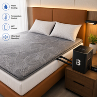 Surmatelas rafraîchissant pour les personnes ayant chaud la nuit, technologie de circulation d'eau, système de refroidissement de lit à deux zones