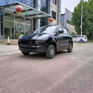 <span class=keywords><strong>2025</strong></span> nóng tinh khiết điện trái tay lái xe tốc độ thấp xe năng lượng mới cho gia đình 210km phạm vi - Product Image 3