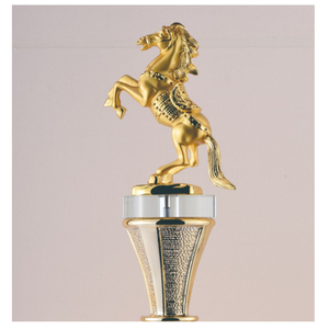 JY superventas artesanías <span class=keywords><strong>de</strong></span> cristal <span class=keywords><strong>de</strong></span> gran tamaño competición deportiva personalizada trofeo <span class=keywords><strong>de</strong></span> Metal ecuestre trofeo <span class=keywords><strong>de</strong></span> premio <span class=keywords><strong>de</strong></span> oro con caja <span class=keywords><strong>de</strong></span> regalo - Product Image 2