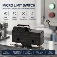 Micro-interrupteur en plastique SPDT 250 VCA approuvé TUV CE CCC (XZ-15GW2-B) Type levier à charnière IP40 Contact argenté Usage industriel 15 A