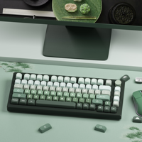 XVX Keycaps – Kit de touches PBT à sublimation vert dégradé, 132 touches, personnalisé pour clavier mécanique, mignon