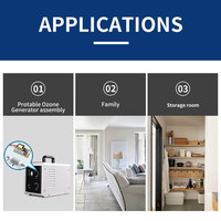 Günstiger Preis Luftkühlung Keramik Ozon Rohr 1 gr/std mit 110V 220V DC12V DC24V