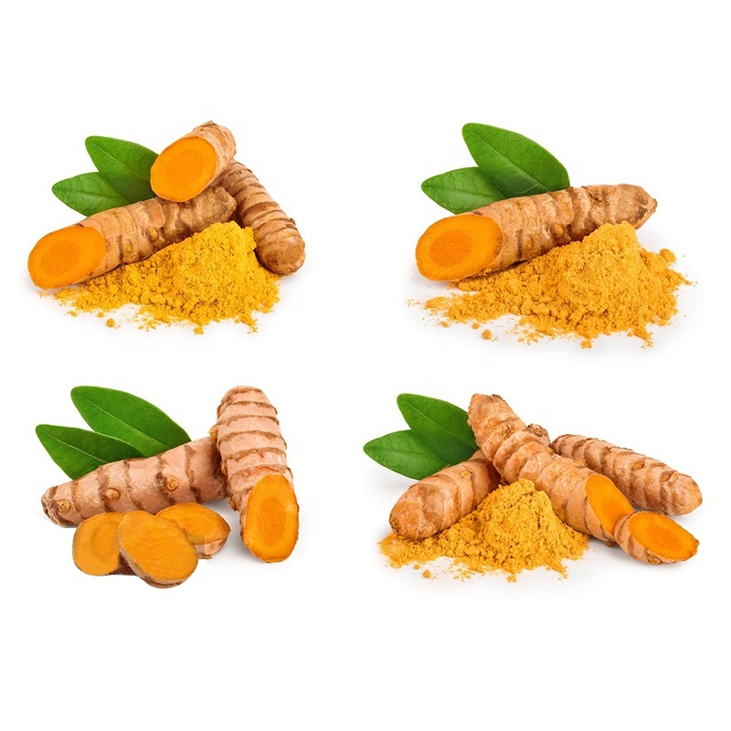 In Stock Turmeric Fingers Raw Materials