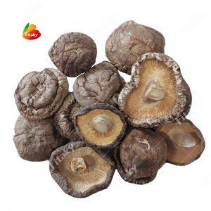 Jamur <span class=keywords><strong>Shiitake</strong></span> Murni Cina Kering, Laris Manis - Product Image 1