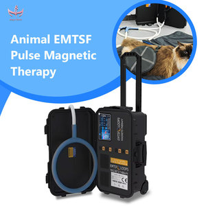 Appareil de magnétothérapie vétérinaire portable MagicBelle EMTSF, dispositif de rééducation physique par boucle, soulagement de la douleur, certifié CE, usage commercial - Product Image 1