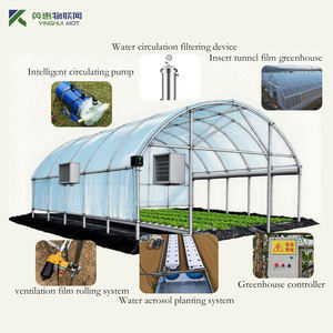 Plastic Folie Greenhousesingle Tunnel Economisch Broeikascontrolesysteem Met Geïntegreerde Hydrocultuurkit - Product Image 2