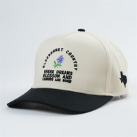 Casquettes de baseball 100% coton 5 panneaux structurés deux tons chapeaux de baseball bicolores un cadre casquettes deux tons casquette de sport chapeau